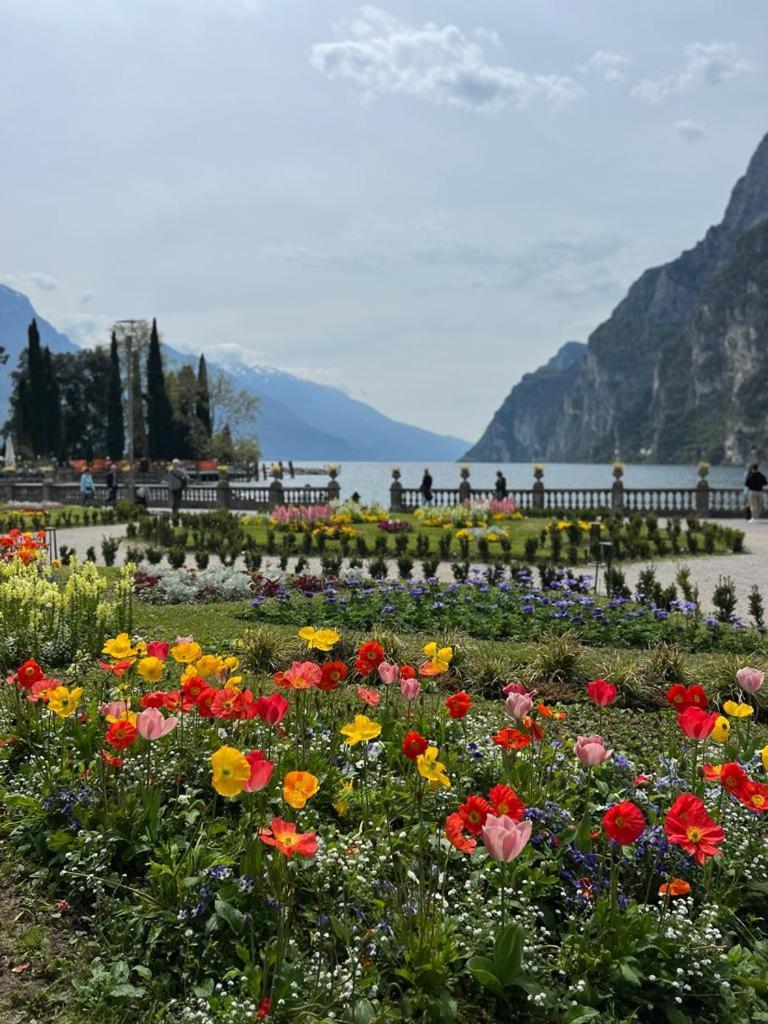 Absentia 1763 Garda Boutique Home - Lake Front Brenzone sul Garda Zewnętrze zdjęcie